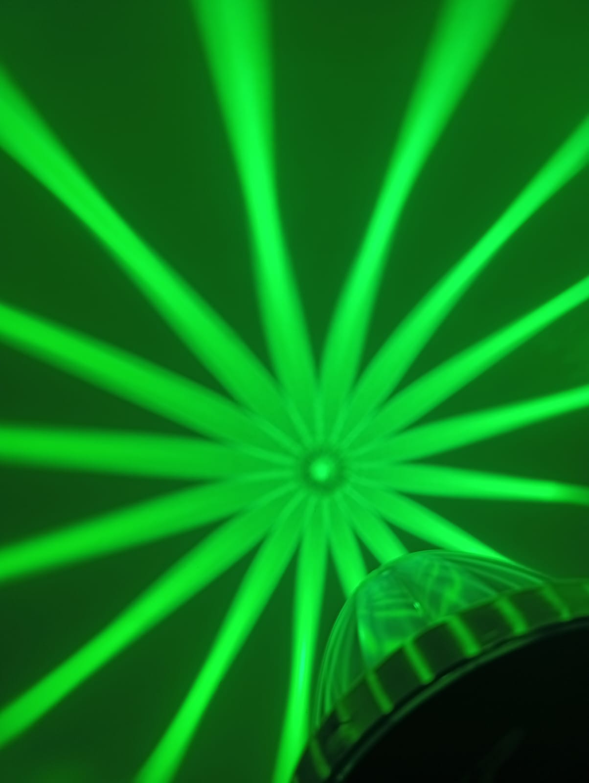 Watermelon PLastico Efecto Flor Verde